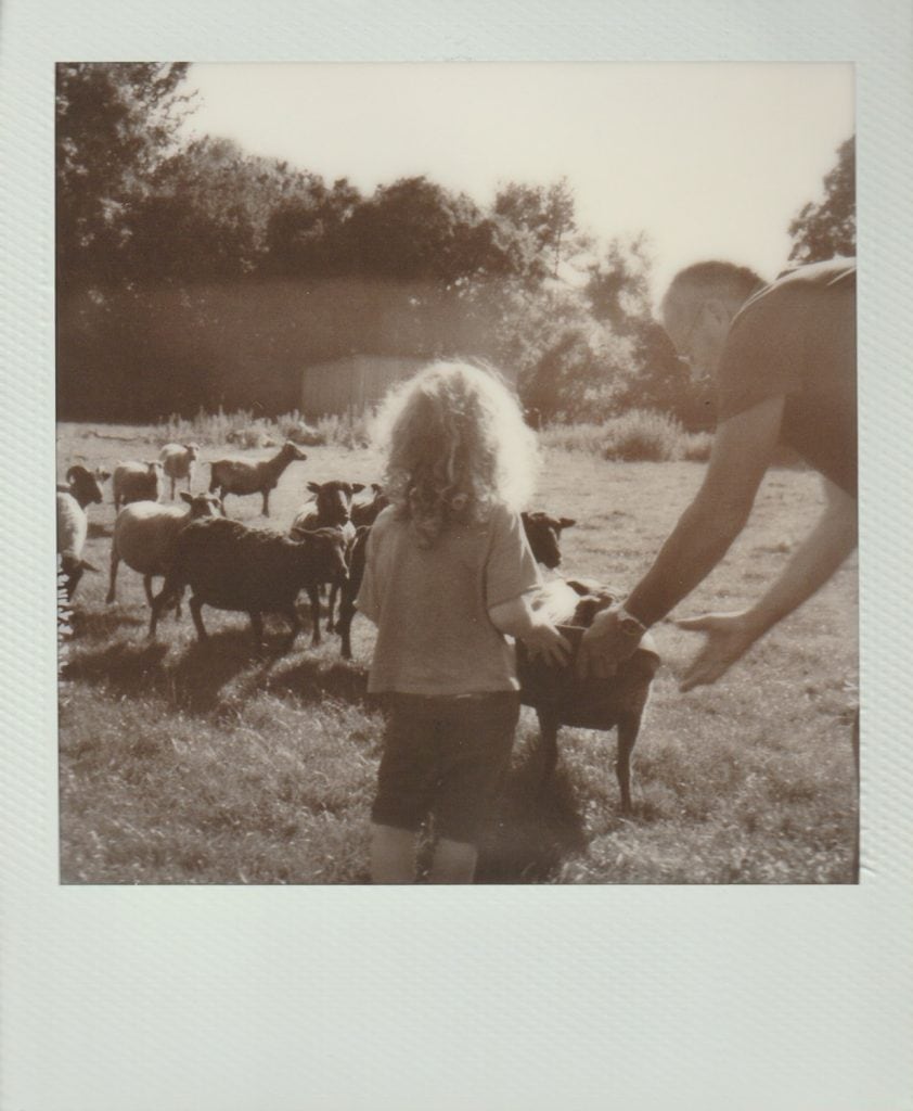 Polaroid film of a grandfather teaching a child how to feed a flock of sheep.